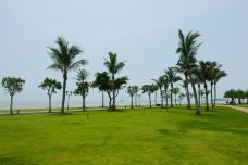 珠海拱北口岸-珠海-不可触碰撞的鱼