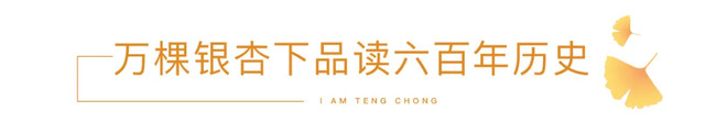 腾冲银杏村:极目金黄千里秀,幸福故里盛世颜