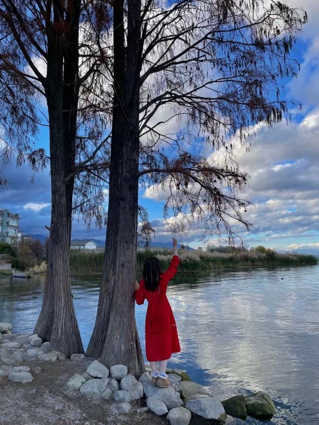 洱海月湿地公园旅行图片 3