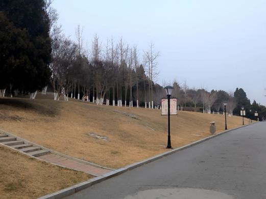 甘井子公园