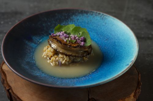 京都好自然酒店(GOOD NATURE HOTEL KYOTO)图片