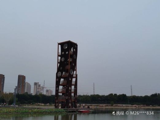 洪河湿地公园