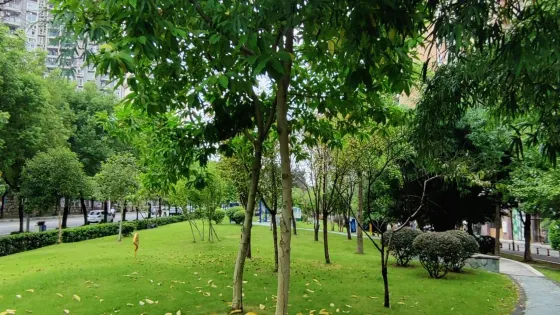 翠庭公園
