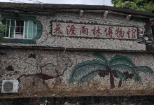 海南天涯热带雨林博物馆景点图片