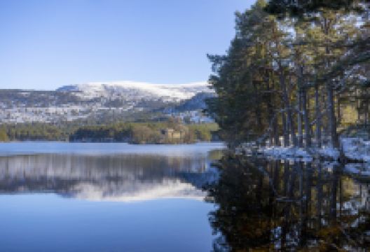 Rothiemurchus景点图片