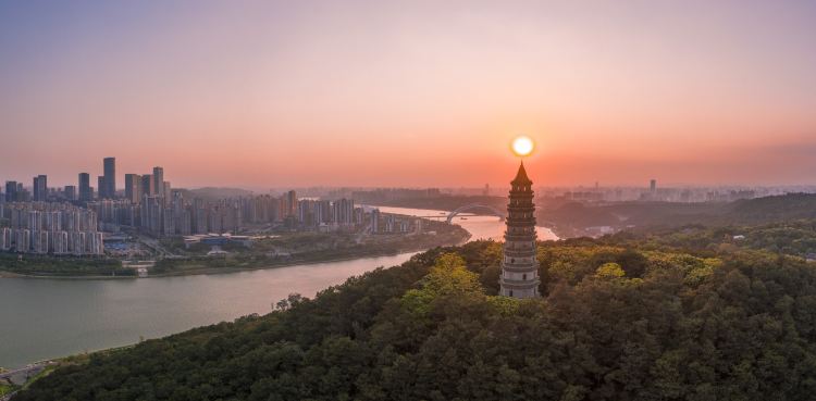 Qingxiu Mountain (Scenic natural landscapes, tranquil environment)