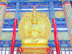 汝南人文休闲1日游