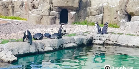 波塔費里水族館