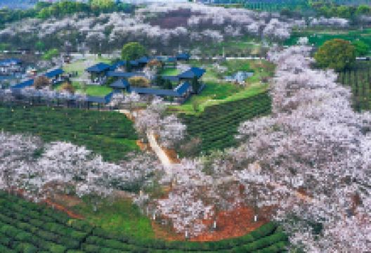 凤凰沟景点图片