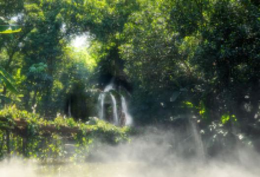 厦门园林植物园景点图片