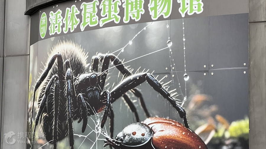 深圳活體昆蟲博物館