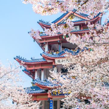 杭州+乌镇+苏州+无锡6日5晚私家团