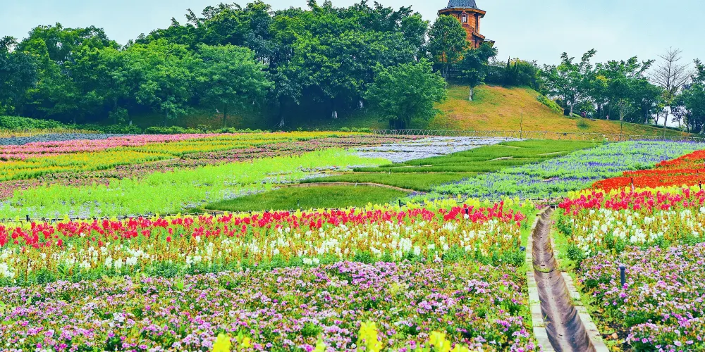 永安旅遊