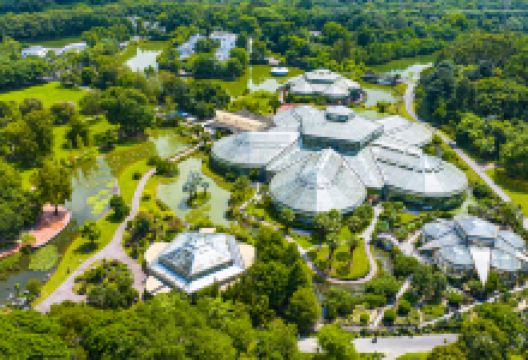 中国科学院华南国家植物园景点图片