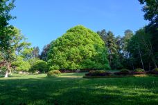 贵阳森林公园-贵阳