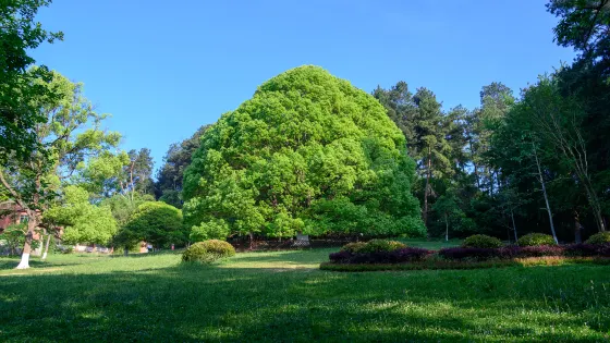 貴陽森林公園
