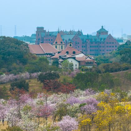 深圳+东莞+惠州5日4晚拼小团