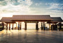 张坝桂圆林景点图片