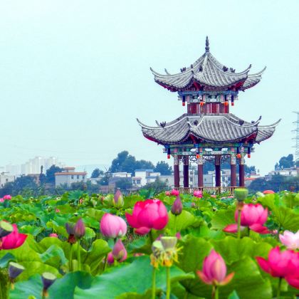 中国云南曲靖金麟湾爱情小镇5日4晚私家团