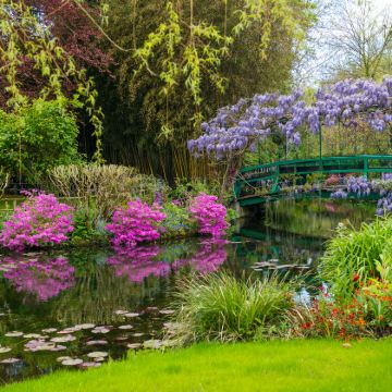 法国+阿瓦尔悬崖+圣米歇尔山+莫奈花园8日6晚私家团