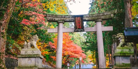 日枝神社