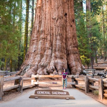 美国西海岸+旧金山+洛杉矶+西雅图+拉斯维加斯18日17晚私家团