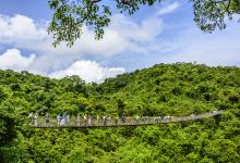 过江龙索桥景点图片