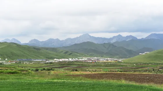 抓喜秀龍草原
