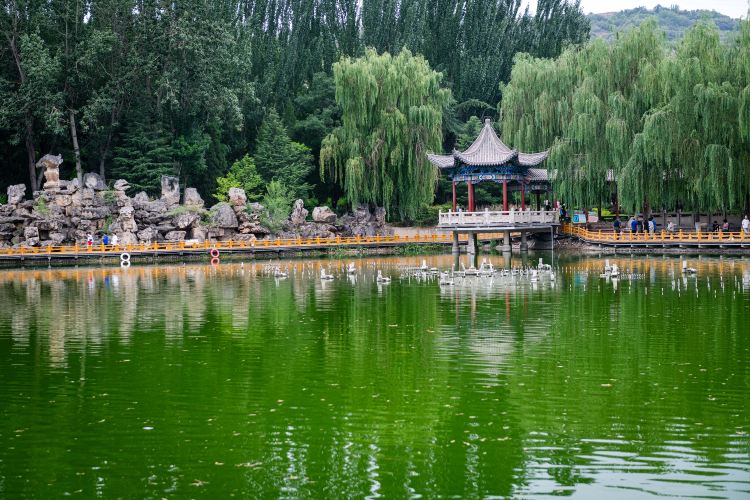 金城公园
