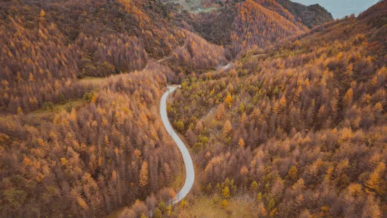 曾家山景區
