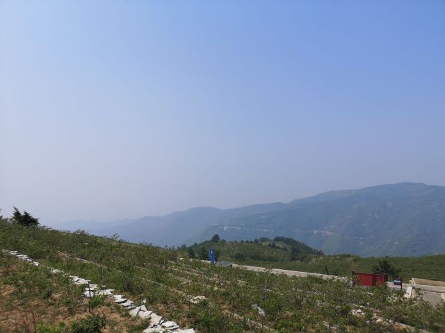 玫瑰谷旅行图片 1