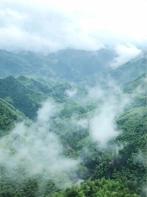 打卡浙江最美自驾线路,一路上烟雾缭绕、青山如黛,堪比川藏公路