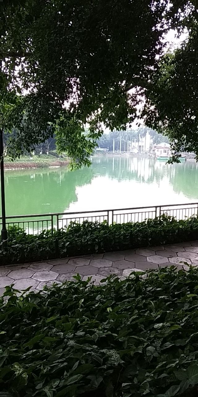 百色人民公园旅行图片 6