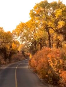 塔里木沙漠公路-且末-gz当地向导伊妹儿