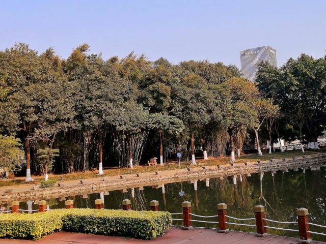 北滘公园旅行图片 3