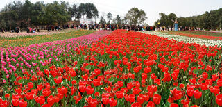 长沙三月春游景点攻略推荐，快来约上好友一起来打卡吧！