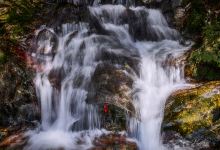 千岛湖森林氧吧景点图片