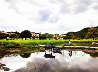 云游四海(1470)皖鄂自驾行之五——西递古村