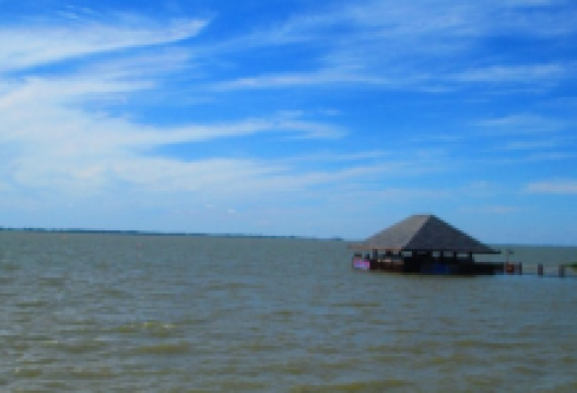 连环湖水禽狩猎场景点图片