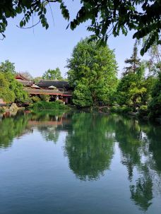 清溪园-都江堰-山茶叶蛋糕