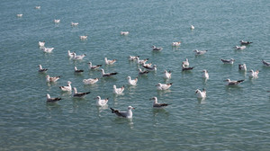 西北地区游记图文-西北纪行七：风景和心情都在路上（环青海湖）