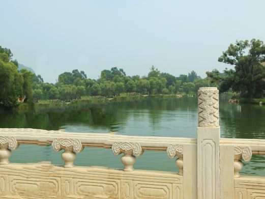 万树园