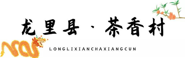 乡游黔中·龙里县 茶香村 │ 满山刺梨黄,一幅秋日丰收美景图