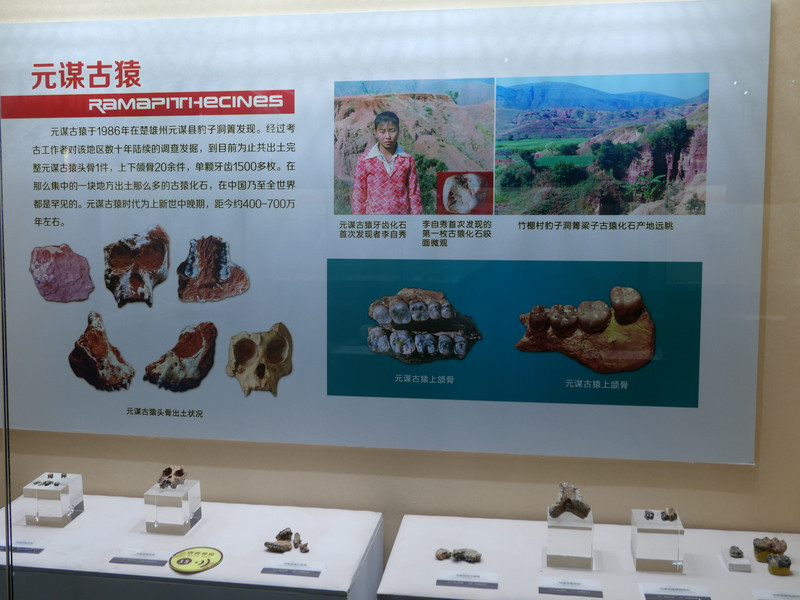 昆明旅游网
