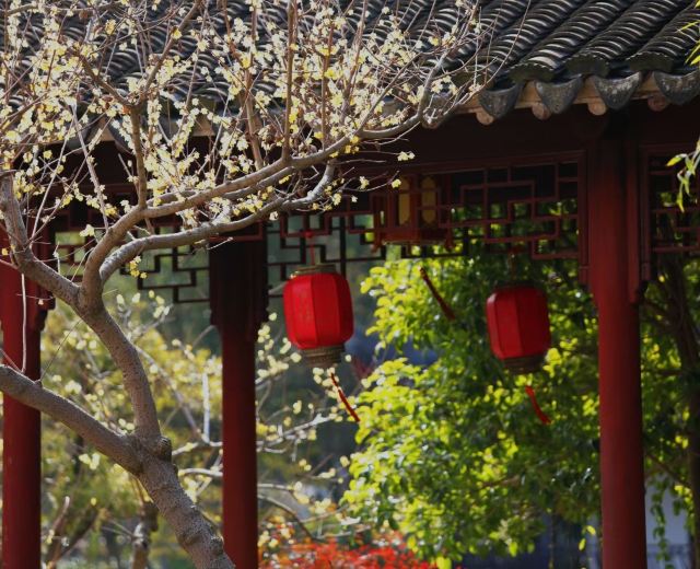 莘庄公园旅行图片 3
