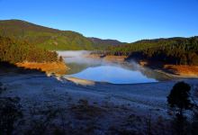 太平山森林游乐区景点图片
