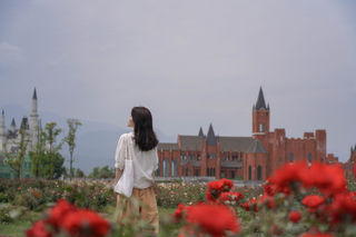 初夏绵竹游,观年画,闻酒香,赏月季,逛小镇