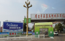 蔬菜科技博览园-寿光-C-IMAGE