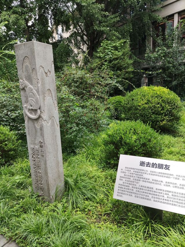 南馆公园旅行图片 3