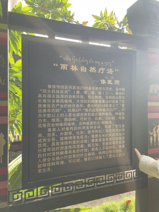 曼远村旅行图片 3